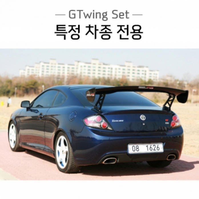 지티윙(GTwing) 세트 ─ 특정 차종 전용